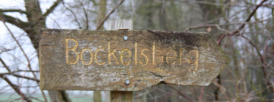 Neue Heidefläche am Bockelsberg