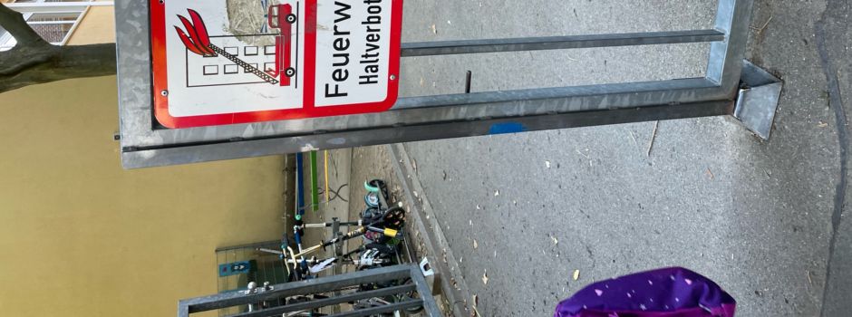 Knuffiger Gast: Eichhörnchen mischt Mainzer Grundschule auf