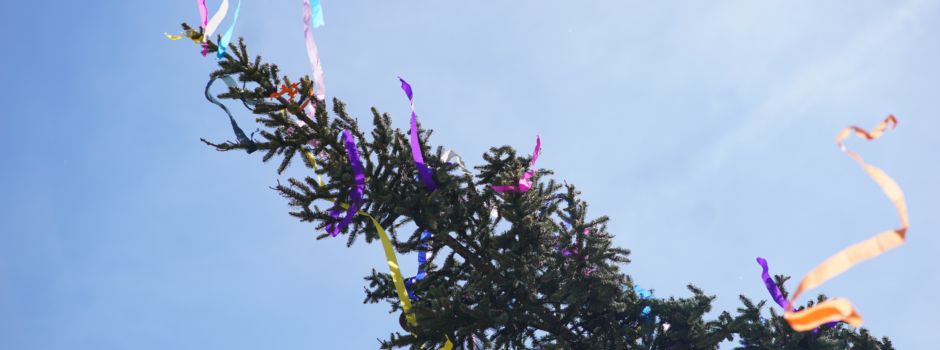 Der Maibaum steht!