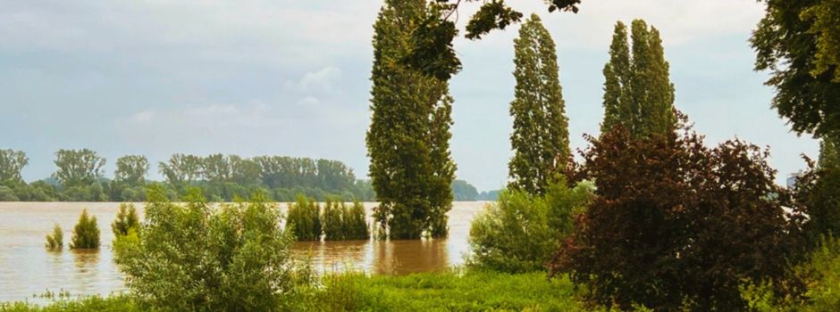 Schreckmoment in Worms: Hochwasser höher als erwartet