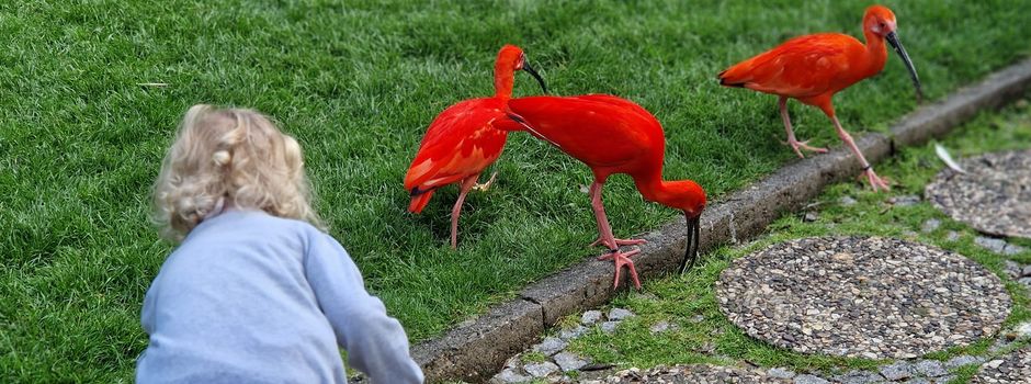 Weltvogelpark Walsrode kann wie geplant  am 14. März in die Saison starten