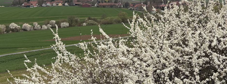Ostern in Barnstorf 