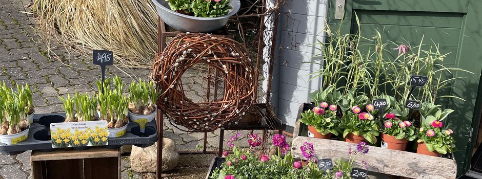 Klosterfest - verkaufsoffener Sonntag am 15. März in Himmelpforten