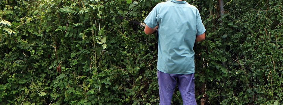 Mein Nachbar sagt: Die Hecke muss ab!