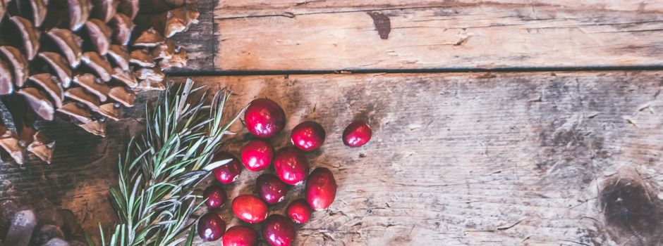 5 Typen, die man im Herbst und Winter trifft