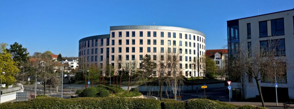 Das wollen die Landratskandidaten für den Landkreis Mainz-Bingen erreichen