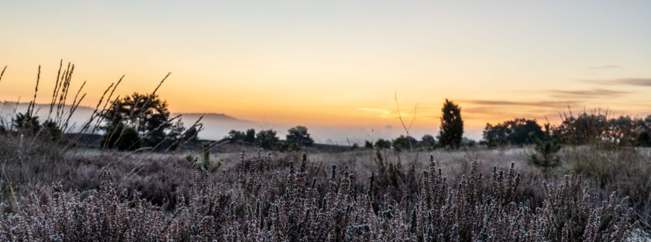 Nach der ITB in Berlin: Pauschalreisen in die Lüneburger Heide geplant