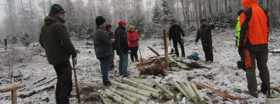 Liebe Freunde des Waldes!