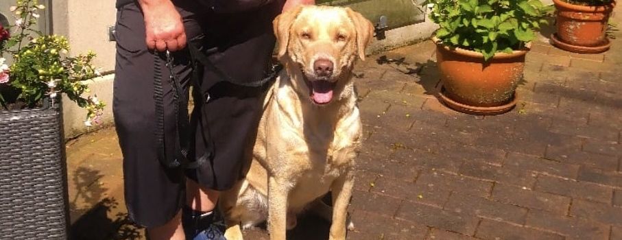 Willi hilft Kindern beim Lesen