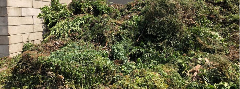 Öffnungszeiten Grünschnittannahme!