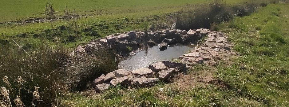 Wettbewerbsbeginn zum natürlichen Klimaschutz im Naturpark Saar-Hunsrück 