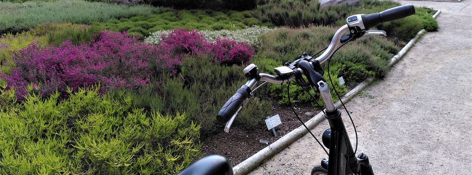 Rundtour mit acht Infoständen: Landratskandidat Grote radelt mit