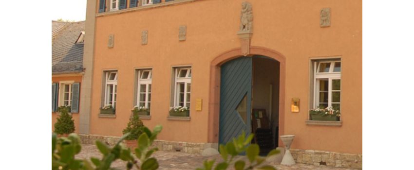 100 Jahre Alleinbesitz: Jubiläumswanderung in der Monopollage Niersteiner „Glöck“
