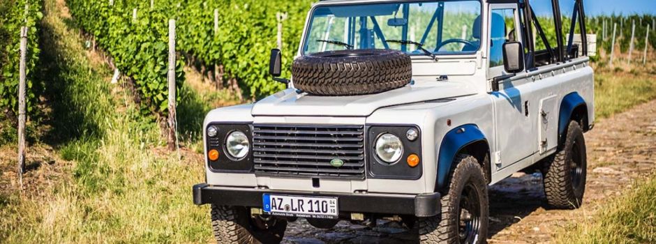 Weinsafari: Rheinhessische Weine „erfahren“