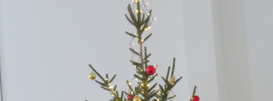 Weihnachtsstimmung in Pinnow