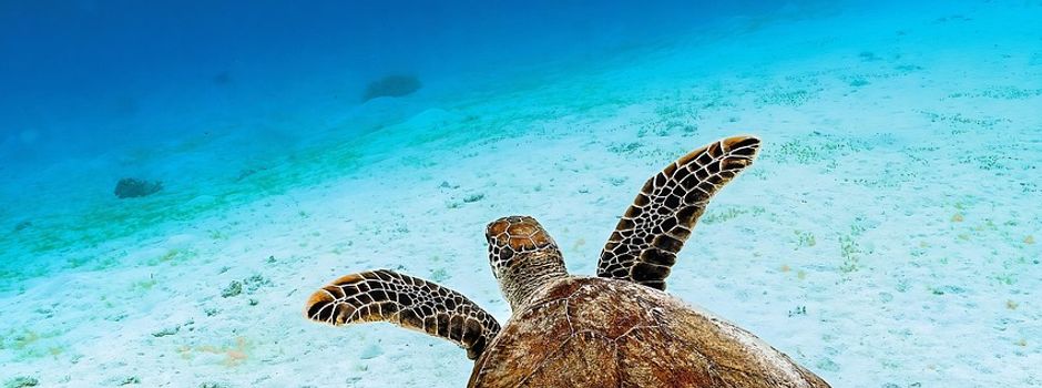 Ausstellung & Gewinnspiel