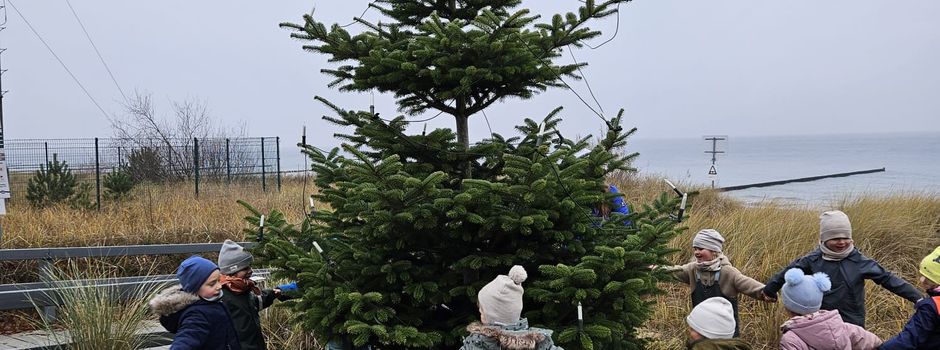 Zwergenland schmückt Koserower Weihnachtsbäume