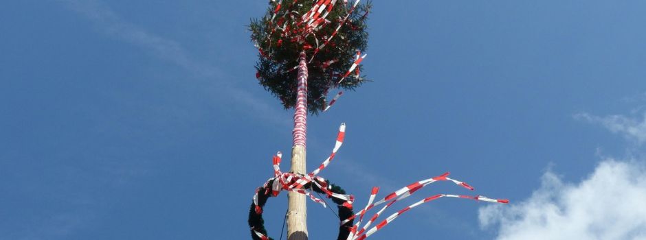 Feuerwehr eröffnet mit Maifest Hirschauer Festl-Saison