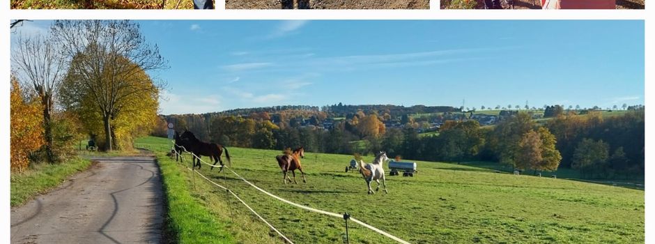 Nachlese zur Wanderung – „Drei-Bänke-Tour“ - am 05. November 2025 - Mudenbach/Ingelbach