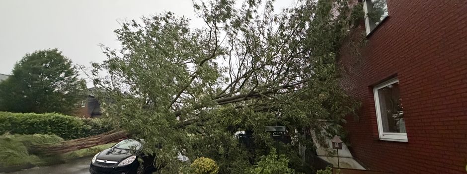Heftiges Unwetter in Herzebrock: Baum kippt um, trifft Auto und trifft Hauswand