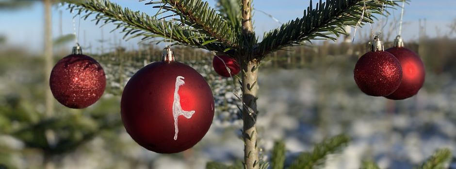 Weihnachtsbaum Abholung am 31.01.2026 