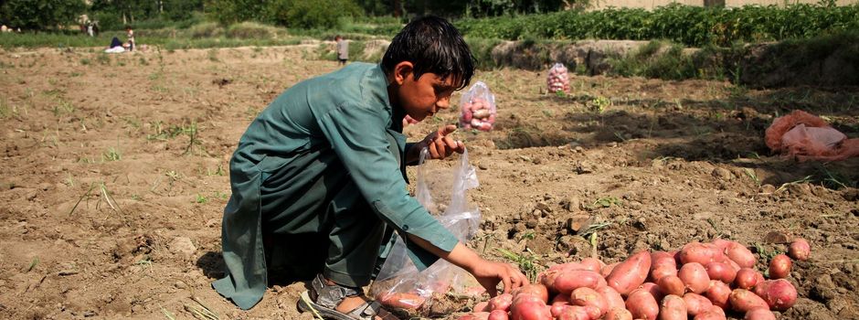 EU-Staaten finden Mehrheit für Lieferkettengesetz