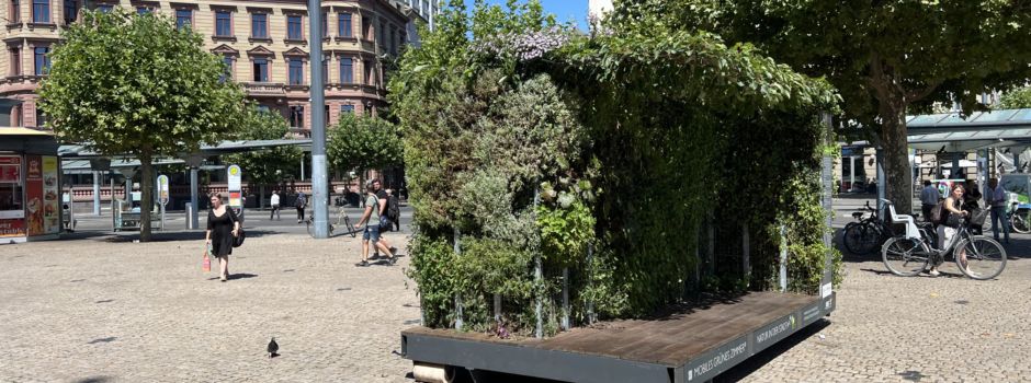 Was es mit dem „Grünen Zimmer“ am Mainzer Hauptbahnhof auf sich hat