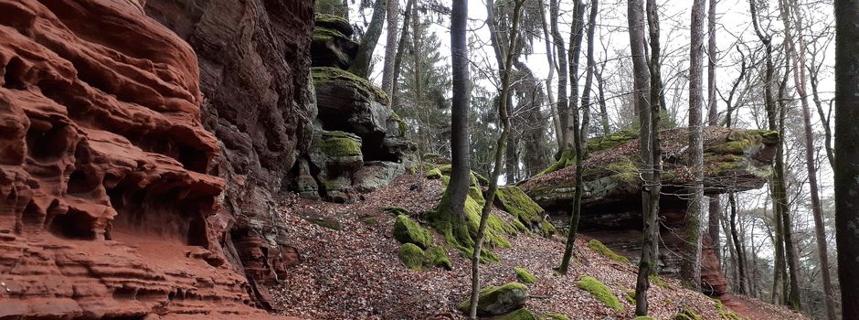 Mittwochswanderung Starkenbrunnen