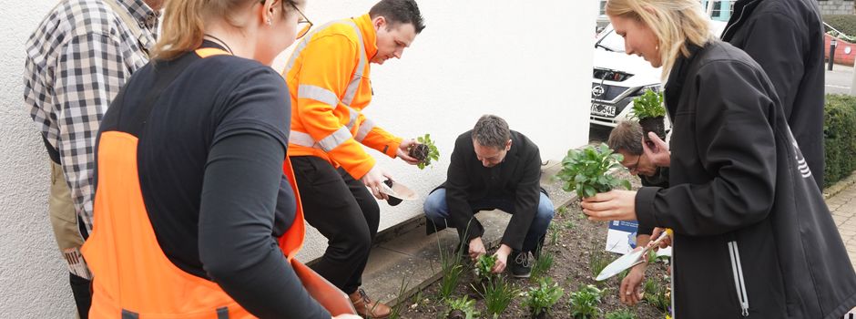 Vergissmeinnicht-Pflanzaktion in Rehlingen-Siersburg