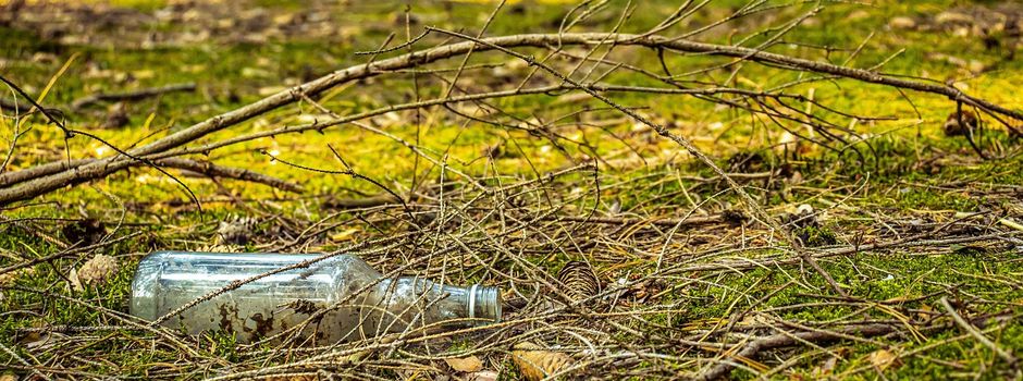 Umwelttag in Balduinstein