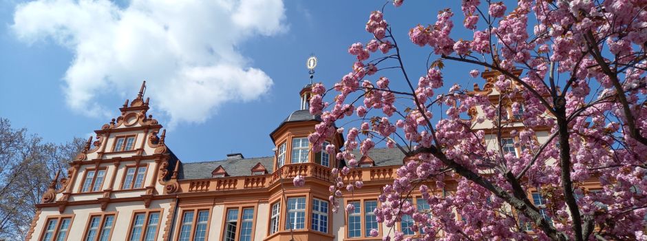 Neubau des Gutenberg-Museums in Mainz: Jury kürt Siegerentwurf