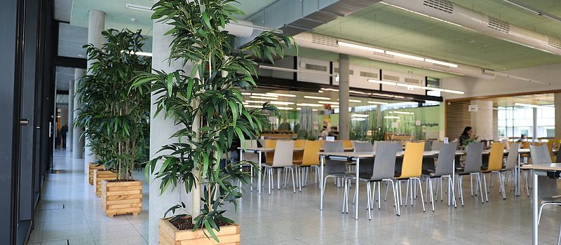 Erste fleischfreie Mensa an der Uni Mainz