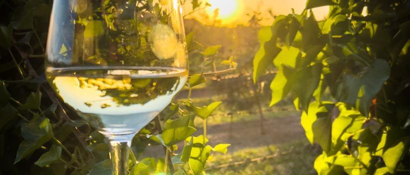 Binger Winzerfest ruft Ideenwettbewerb aus