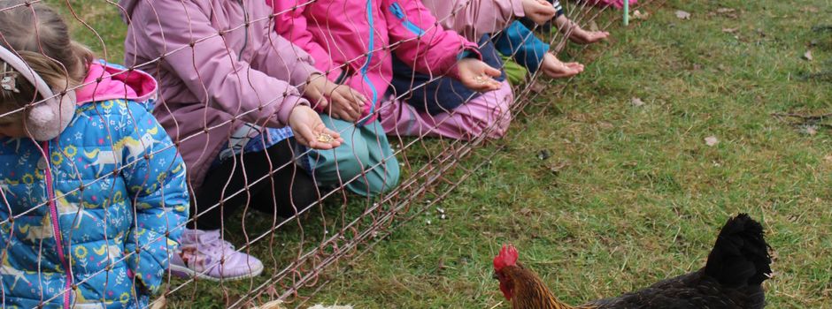 Ein spannender Tag bei Familie Vogel: Kinder entdecken die Welt der Hühner