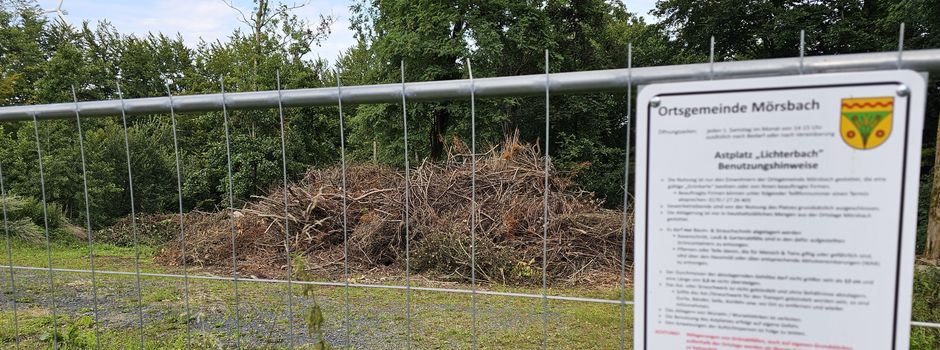 Hinweis zur Nutzung von Astplatz und Grüncontainern mit Blick auf den Herbst