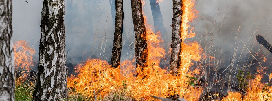 Aktuelle Waldbrandgefahrenlage