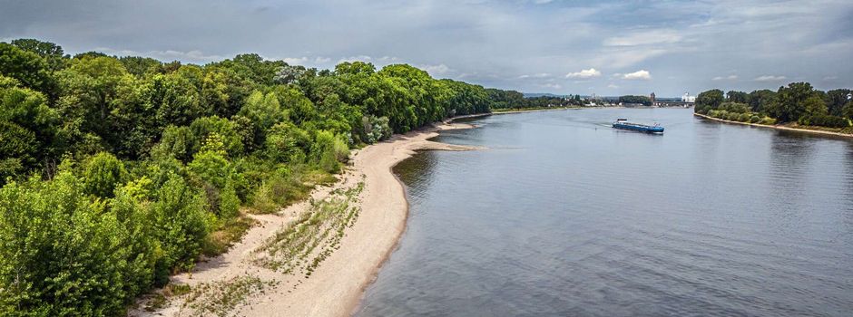 Für ein sauberes Rheinufer: Große Müllsammel-Aktion in Worms