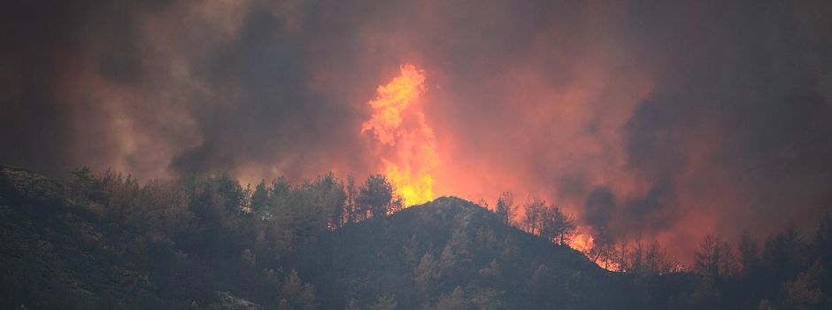 Sperrung der Grillstelle beim Naturlehrpfad ab dem 03.08.2026