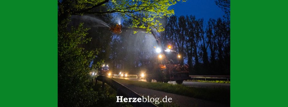 Gezielte Nachtmaßnahmen gegen den Eichenprozessionsspinner: Straßenmeistereien Halle und Wiedenbrück im Einsatz