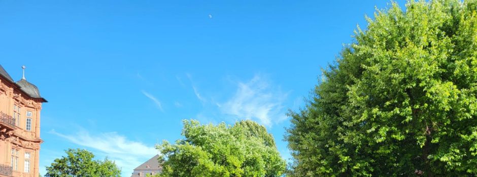 Public Viewing in Mainzer Schlossbiergarten abgesagt
