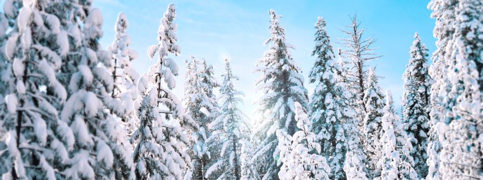 Die schönsten Winterwanderungen für die ganze Familie