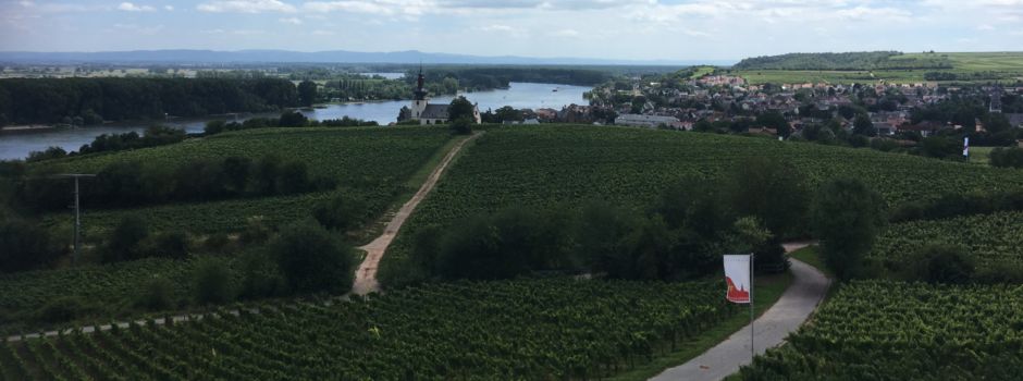 Gratwanderungen Roter Hang in Nierstein am 8. und 9. Juni