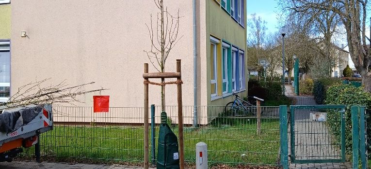 Neue Bäume für ein grünes Ortsbild