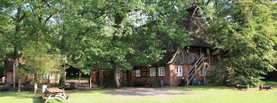 Ameisen- und Bienentag