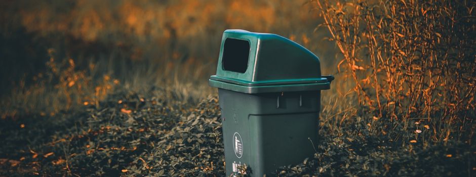 Hundehaufen - ein Umweltproblem