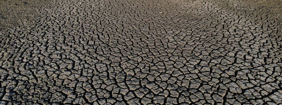 Trockenheit: Wenn das Wasser knapp wird