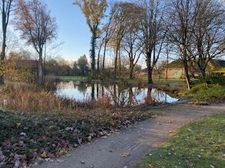 Oldendorf ist beim Ehrentag dabei