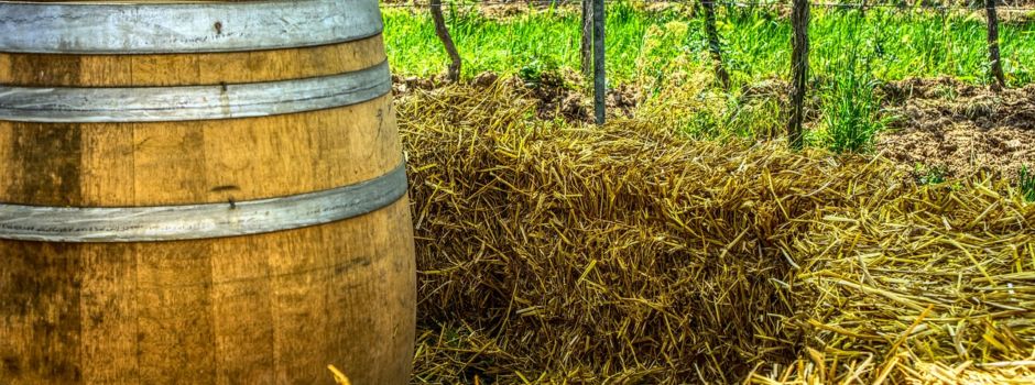 Ritzhäuser Weinfest 2024 🍷