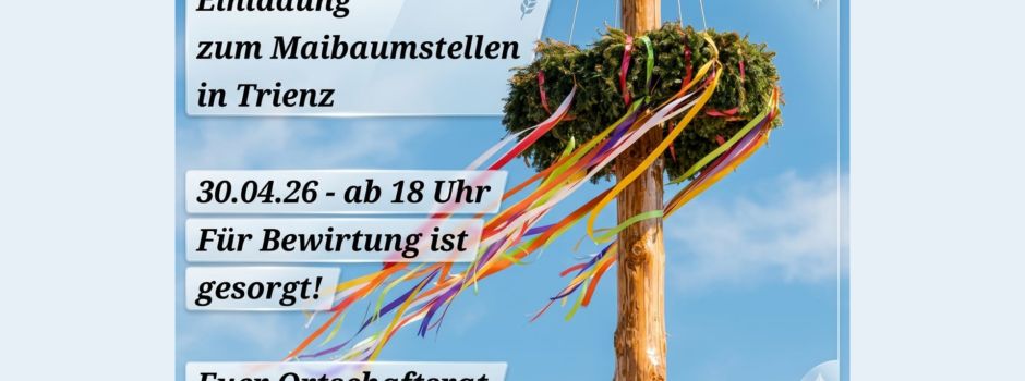 Maibaumstellen in Trienz