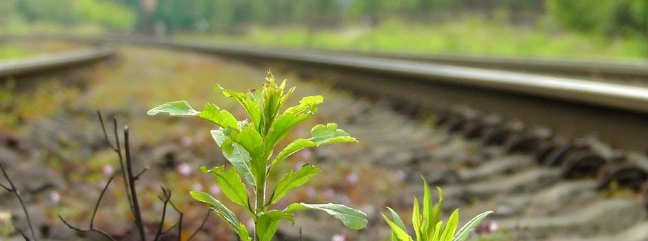 Information zu Baumaßnahmen der DB InfraGO